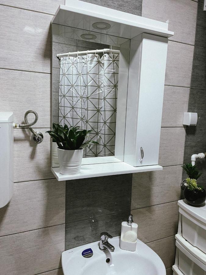Apartment Tatjana Kragujevac Buitenkant foto