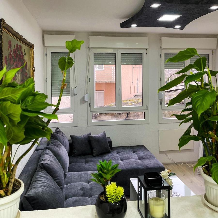 Apartment Tatjana Kragujevac Buitenkant foto